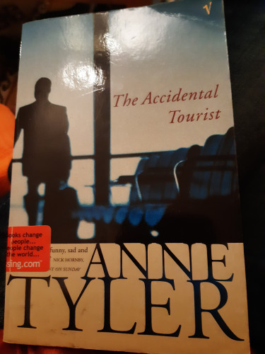 Book cover: inside an airport terminal.  On the right, a row of seats. On the left, a man with a suitcase looking out the floor-to-ceiling window. All in silhouette. Big blue sky outside.