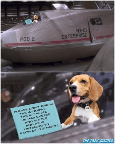 A picture of the NX-01 Enterprise Pod2 with a dog in it, and a sign saying "Please don't break the window! The A/C is on, he has cheese, and water and he is listening to faith of the heart."