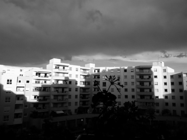 Photographie en noir et blanc avec, au premier plan, la silhouette d'un géranium en fleurs dans une jardinière.
A l'arrière-plan, des immeubles d'habitation forment un angle, dont le sommet est éclairé par le soleil.
Le ciel est très nuageux.