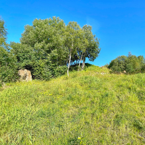 A birch-covered burial mound with a standing stone on each side. Not marked on any published map.