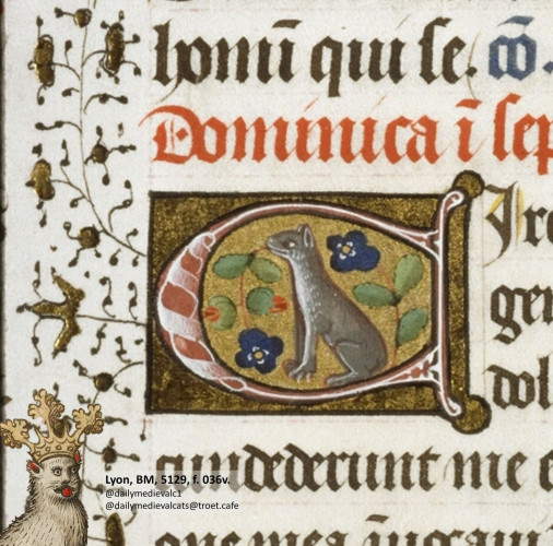 Picture from a medieval manuscript: A cat is happy among flowers