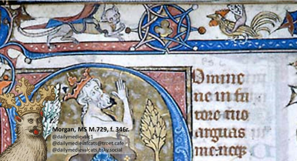 Picture from a medieval manuscript: The picture is not fully recognizable, you can see that a cat is being used as a mount (the rider is not recognizable), which is charging against a rooster (again, rider not recognizable)