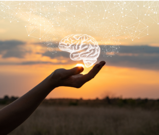 Image is a photograph a of beautiful sunset and sky with hues of pink, orange and yellow, showing purple clouds aloft. On the bottom, a distant forest across an open field can be seen, behind an outstretched hand appearing to be cupping a human brain. The brain, illustrated in white, is superimposed above the hand, with what looks similar to a chart of constellations, with dots connected by lines. 

Image courtesy of Psychology Today's article linked above.
