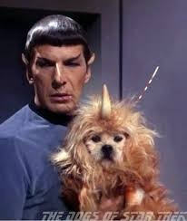 Spock holding small dog with horn. 