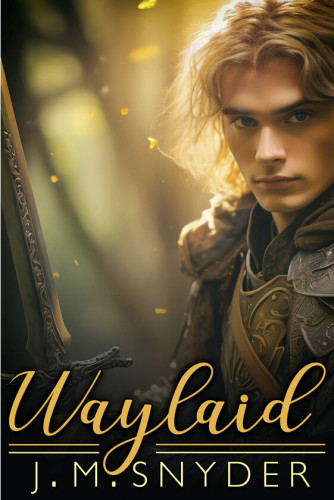Cover - Waylaid by J.M. Snyder - handsome young white knight with blond hair and green eyes in body armor holding a sword, seen from the side, egaging the viewer