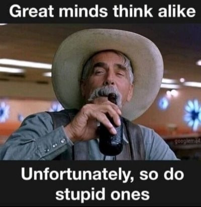 A picture of a cow boy drinking beer with the text Great mind think alike. Unfortunately so do stupid ones.