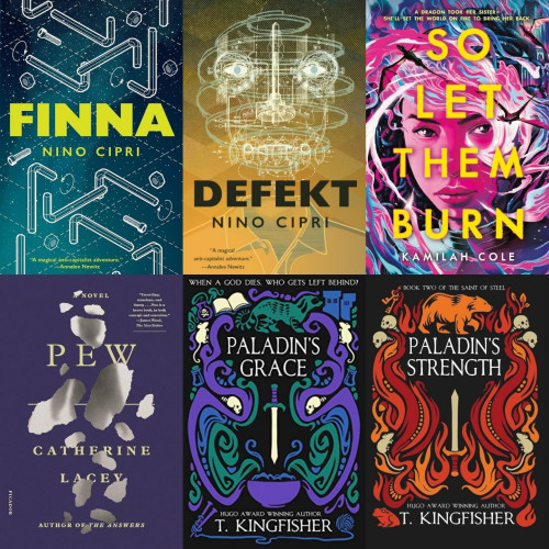 Books 13-18 read in 2024 

FINNA by Nino Cipri
⭐️⭐️⭐️⭐️⭐️
Breakups, Big Box Stores, and the Multiverse. 

DEFEKT by Nino Cipri
⭐️⭐️⭐️⭐️⭐️
Derek Takes a Sick Day & the World Goes to Hell 

SO LET THEM BURN by Kamilah Cole
⭐️⭐️⭐️⭐️
Coming of age with dragons, and also dismantling Imperial Colonialism. 

PEW by Catherine Lacey
⭐️⭐️⭐️⭐️⭐️
Go into this with no knowledge or expectations. 

PALADIN'S GRACE by T. Kingfisher
⭐️⭐️⭐️⭐️⭐️
Broken, traumatized, middle-aged people deserve love, too. 

PALADIN'S STRENGTH by T. Kingfisher
⭐️⭐️⭐️⭐️⭐️
See above, and add a road trip & shapeshifters.