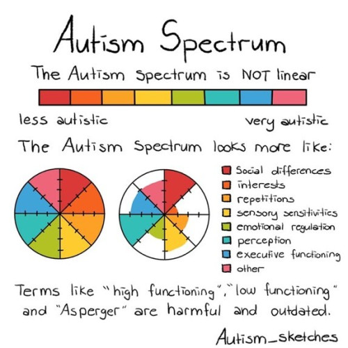 Autism Spectrum
The Autism Spectrum is NOT linear: less autistic to very autistic

The Autism Spectrum looks more like:
social differences
interests
repetitions
sensory sensitivities
emotional regulation
perception
executive functioning
other
Terms like "high functioning". "low functioning"
and "Asperger" are harmful and outdated.
Autism_sketches