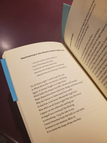 Poetry collection Sonnets from a Cell by Bradley Peters, open to the poem "Daydreaming in the Shower before Lights-Out", which includes the lines