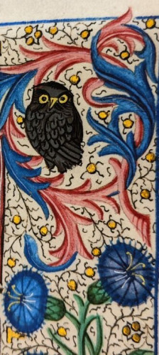 A small black owl with yellow/gold eyes surrounded by floral details including two blue flowers.