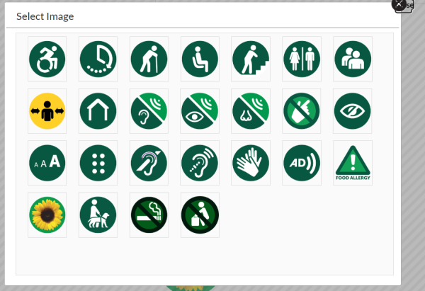 The icons you can select when customising your lanyard  card, for example: "I may need urgent access to the nearest toilet facilities", "I cannot stand for long periods of time" and "I need a quiet of safe space"
