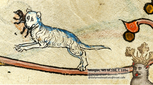 Picture from a medieval manuscript: A white-blue cat with a mouse in its mouth