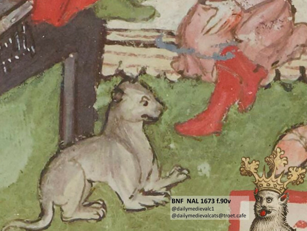 Picture from a medieval manuscript: A cat looking somewhat surprised in the direction of a pair of red shoes.