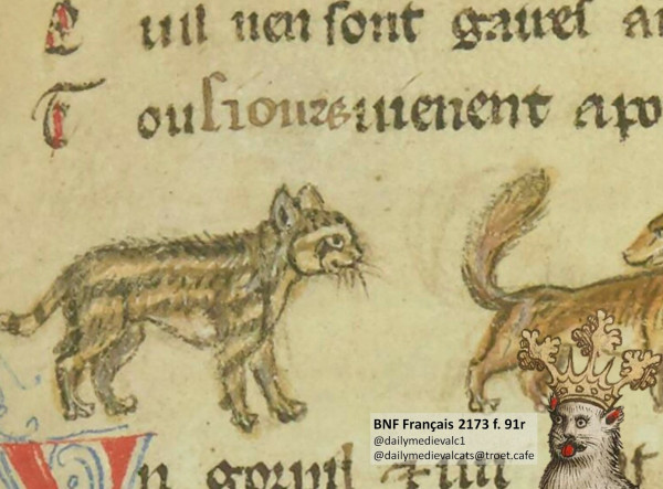 Picture from a medieval manuscript: A weird shaggy cat next to a fox.