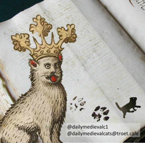a big cat with a crown, in the background a medieval manuscript, with paw prints and a small black cat