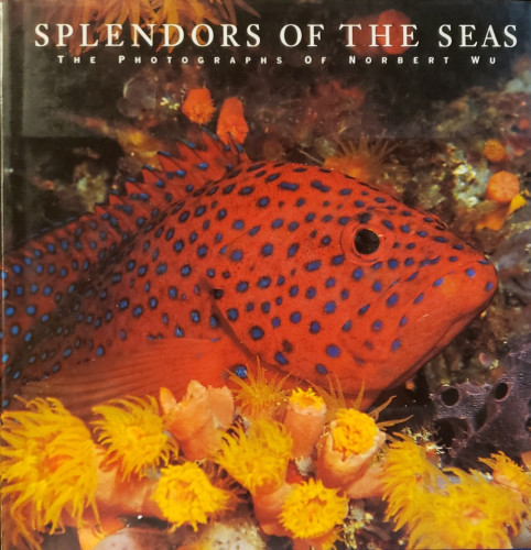 A photograph of the book "Splendors of the Seas - The photographs of Norbert Wu."

This is a large square hardcover; a coffee-table book. The photo on the cover is s close-up of a bright reddish orange tropical fish with blue spots and a spiny fin, in front of a rock or coral and nestled behind a batch of small, orange-pink bodied anemone with bright yellow tentacles.