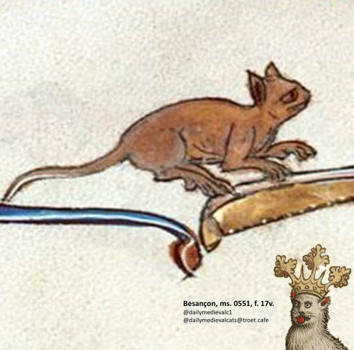 Picture from a medieval manuscript: A running brown cat, looking worried