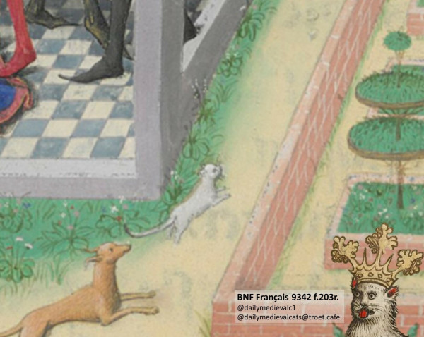 Picture from a medieval manuscript: A small white cat being chased through a garden by a dog