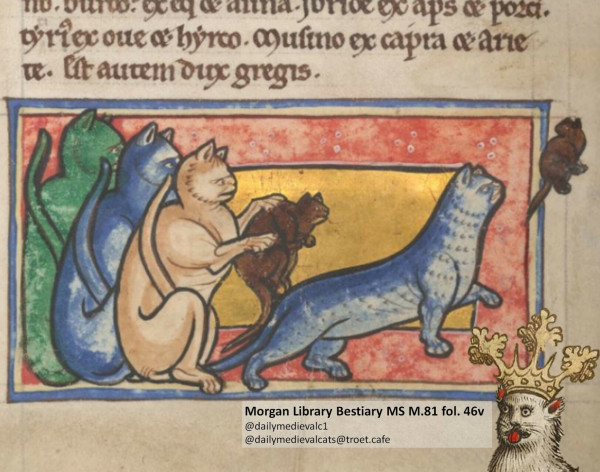 Picture from a medieval manuscript: Four cats in different colours hunting mice.