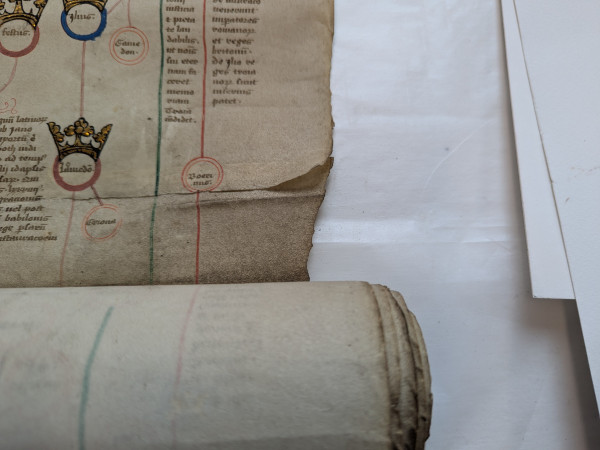 A roll of parchment with black manuscript with red and green graphic elements. Royal names are decorated with gold. The parchment membranes are delaminating at the right side.