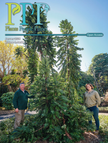Cover of the first issue of volume 6 of the journal Plants, People, Planet. It includes a photograph of a man and a woman standing by each side of two big (much taller than them) Wollemi pines.