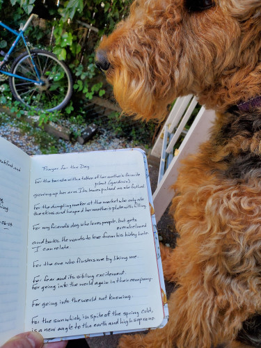 Holding up a handwritten transcription of the poem "Prayer for the Day" by Ronna Bloom next to a very curly young Airedale. A bicycle leans against a fence covered in vines in the background.