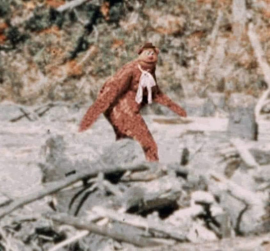 Infamous picture of Bigfoot but with Fozzie Bear photoshopped into it