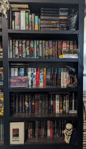 A bookshelf filled with Stephen King Books 
