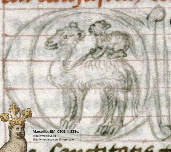 Picture from a medieval manuscript: A cat sitting on a on a dromedary