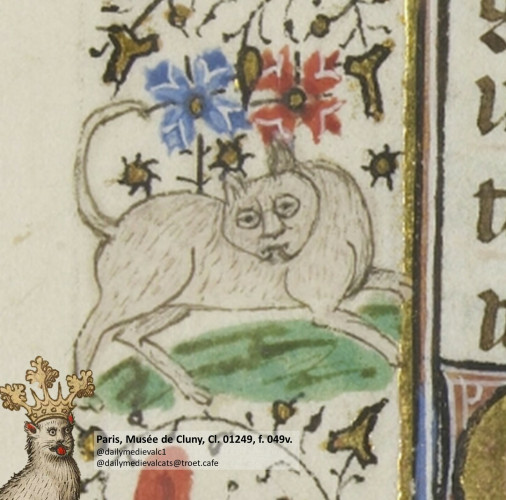 Picture from a medieval manuscript: A cat gawking