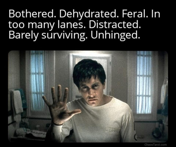 Text:
Bothered. Dehydrated. Feral. In too many lanes. Distracted. Barely surviving. Unhinged.
Picture is of Jake Gyllenhaal from Donnie Darko