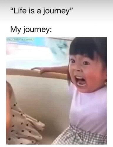 "Life is a journey"
My journey:

Picture of a young girl (toddler age) screaming