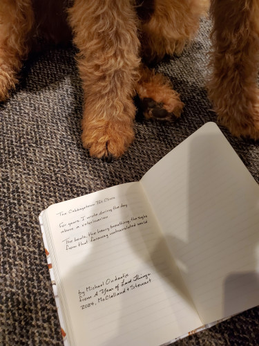 Handwritten transcription of the poem "The Cabbagetown Pet Clinic" from the poetry collection A Year of Last Things by Michael Ondaatje sits at the adorable feet of a young Airedale terrier