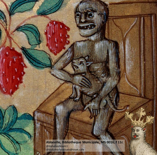 Picture from a medieval manuscript: A cat and a friend