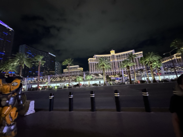 Photo of the Bellagio across the road. 