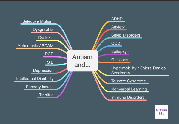 A mind map illustration of autism and its many comorbidites. The words "Autism and..." are at the center. The comorbidities listed are:

* Selective Mutism
* Dsygraphia
* Dyslexia
* Aphantasia / SDAM
* DCD
* SIB
* Depression
* Intellectual Disability
* Sensory Issues
* Tinnitus
* ADHD
* Anxiety
* Sleep Disorders
* OCD
* Epilepsy
* GI Issues
* Hypermobility / Ehlers-Danlos Syndrome 
* Tourette Syndrome 
* Nonverbal Learning
* Immune Disorders