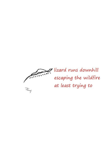 drawing of a creature, in my eyes a lizard, moving down a slope.