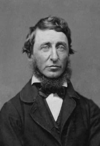 Portrait photograph from a ninth-plate daguerreotype of Henry David Thoreau in 1856. By B. D. Maxham - National Portrait Gallery, Public Domain, https://commons.wikimedia.org/w/index.php?curid=72850880