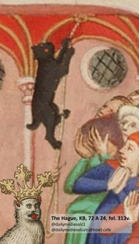 Picture from a medieval manuscript: A black cat climbing up a rope.