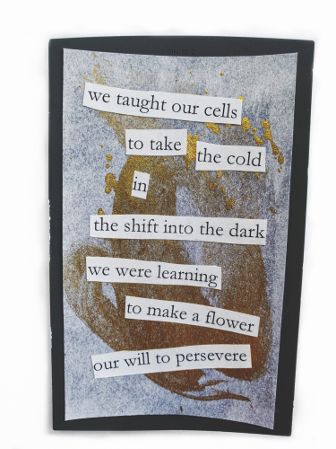 A collage of inked paper with cut out words "we taught our cells to take the cold, In the shift  into the dark, we were learning to make a flower, our will to preserve"