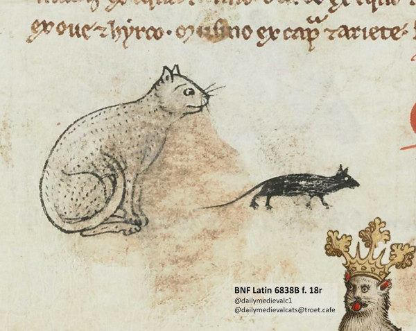 Picture from a medieval manuscript: A white cat sitting still, but also looking down on a black mouse next to it.