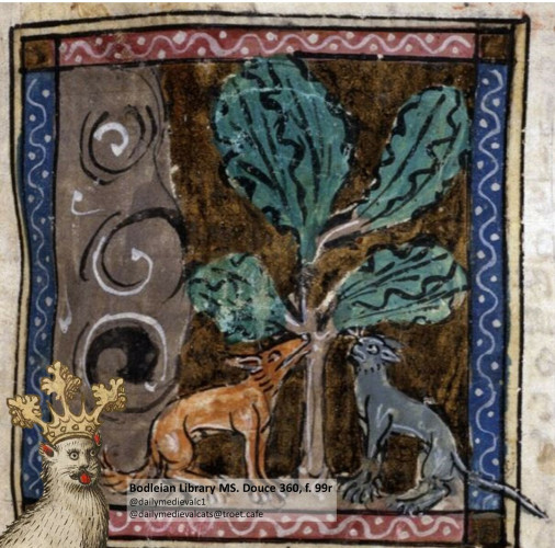 Picture from a medieval manuscript: On the right a fox, on the left a gray cat. They both sniff a tree in the middle.