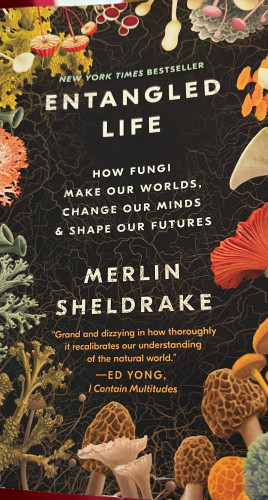 Cover of “Entangled Life: How Fungi make our works, change our minds and shape our future” by Merlin Sheldrake 