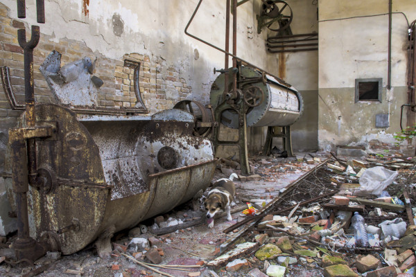 The abandoned hospital on Poveglia