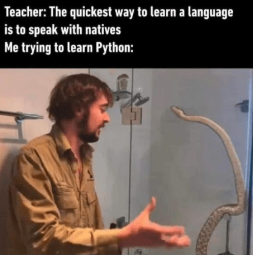 A picture with a man talking with a pyhhon with the text "Teacher: The quickest way to learn language is to speak with natives. Me trying to learn Python"