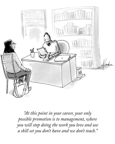 "At this point in your career, your only possible promotion is to management, where you will stop doing the work you love and use a skill set you don't have and we don't teach."