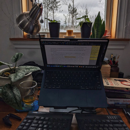 A laptop perches on a writer's desk, with pot plants on the windowsill and a stand of trees outside.