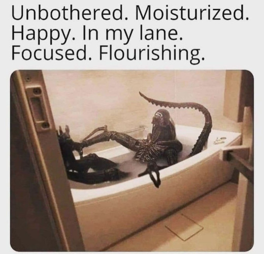 A Xenomorph reclining in a bathtub with text above the pic that says "Unbothered. Moisturized. Happy. In my lane. Focused. Flourishing."