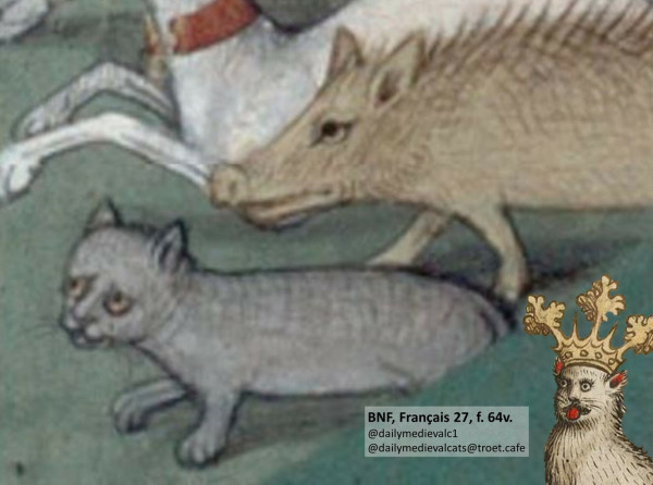 Picture from a medieval manuscript: A grey cat looking worried.