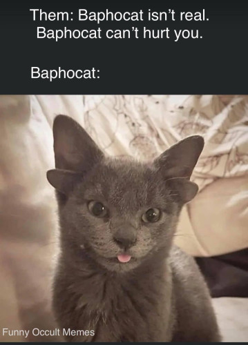 Them: Baphocat isn't real.
Baphocat can't hurt you.

Baphocat:
[Picture of a gray cat with a mini, extra set of ears, sticking his tongue out.]